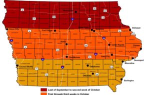 fall-viewing-color-times-in-iowa