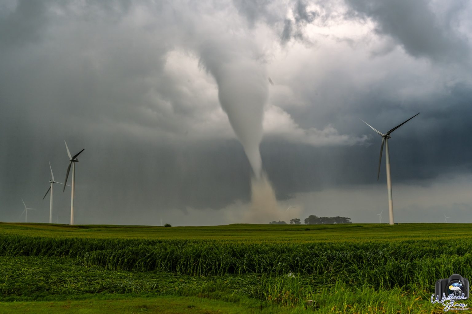 An Overview of the Tornadoes in Iowa on July 28, 2023