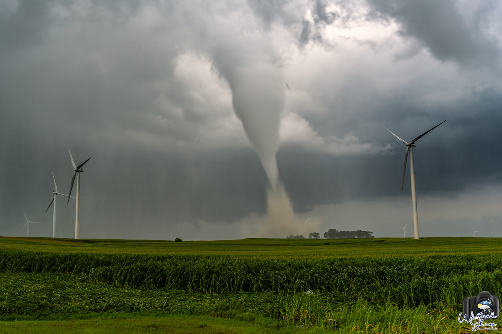 An Overview of the Tornadoes in Iowa on July 28, 2023