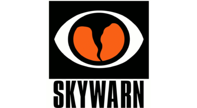 skywarnlogo