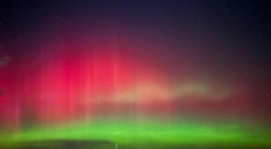Northern Lights November 11 2025