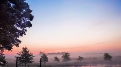 Dense Fog