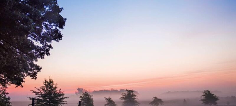 Dense Fog