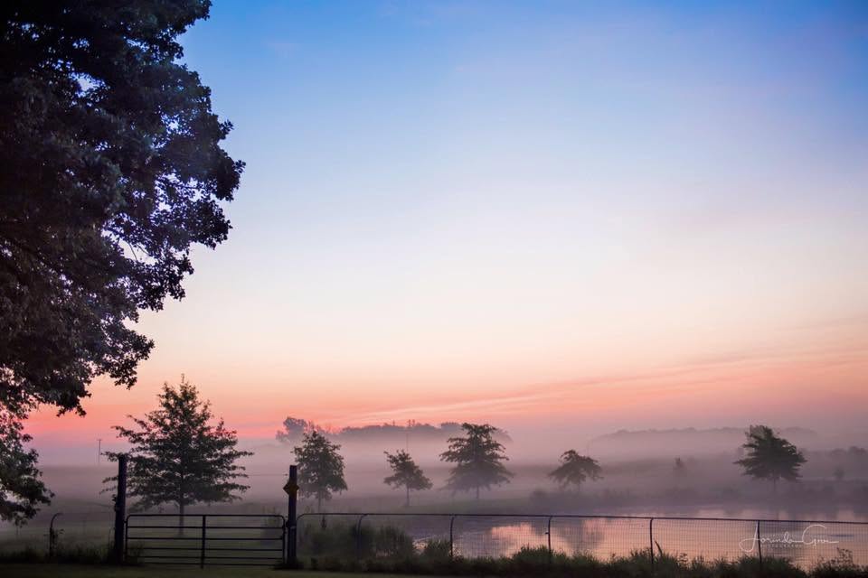 Dense Fog - IowaWeather.com Early morning fog over a fenced field with scattered trees and a calm body of water at sunrise, pink and blue sky above.