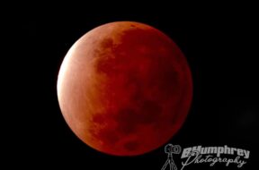Lunar Eclipse