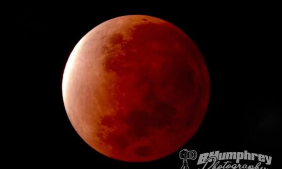 Lunar Eclipse